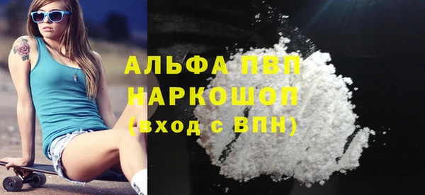 индика Володарск