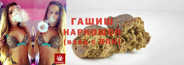 индика Володарск