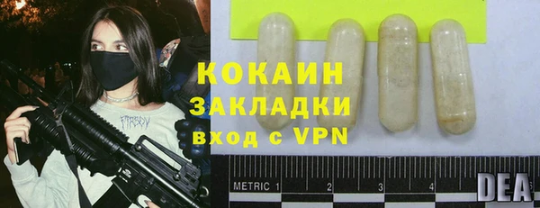 индика Володарск