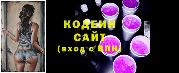 индика Володарск