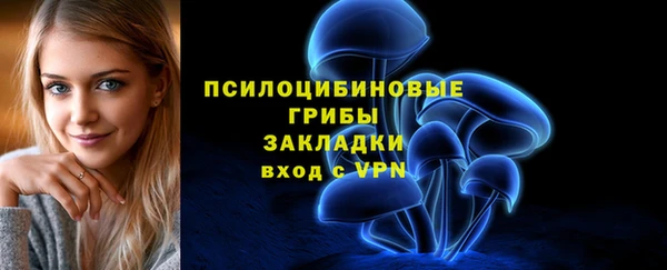 эйфоретик Волоколамск