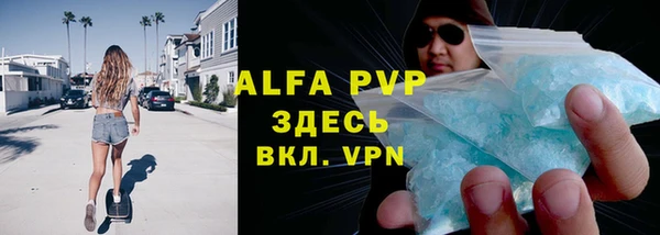 индика Володарск