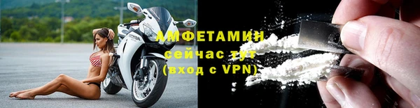 индика Володарск