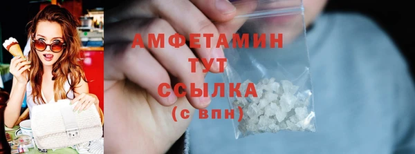 индика Володарск