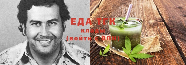 индика Володарск