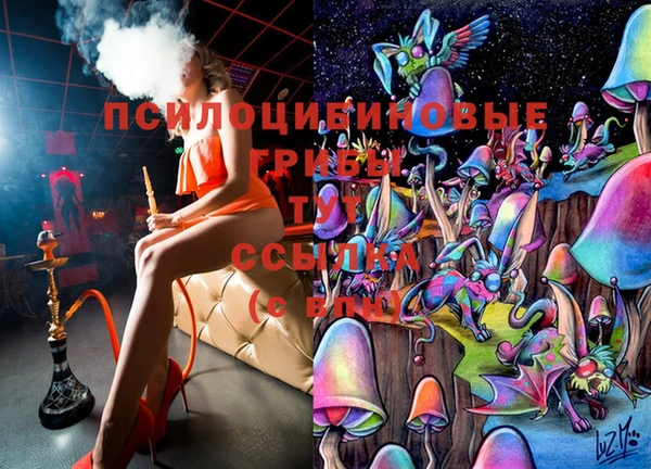 индика Володарск