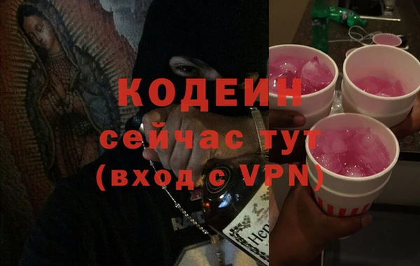 индика Володарск