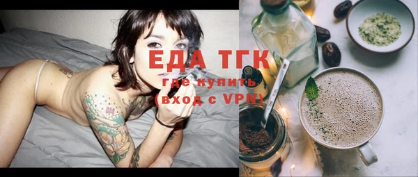индика Володарск