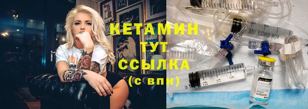 индика Володарск